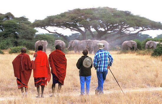 tanzania walking safari