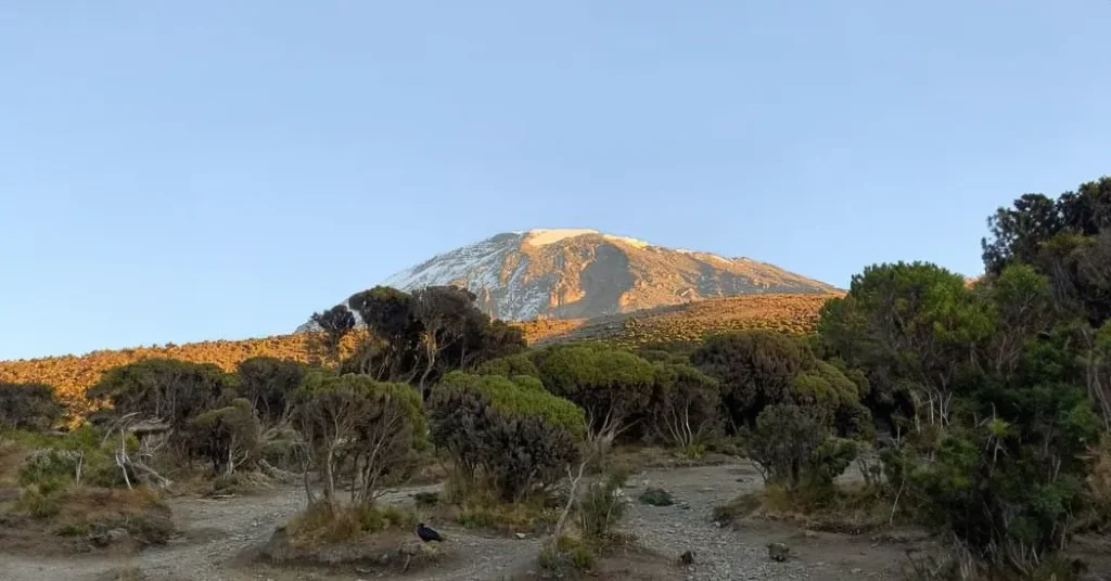 Mount Kilimanjaro trekking